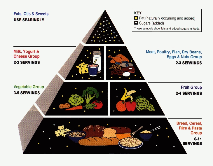 Food pyramid - low-fat-high-carb indoctrination