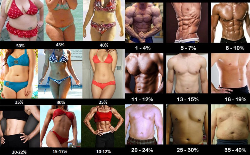 Definition of muscle per percent of body fat | Bulky instead of ripped muscles