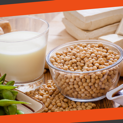 Soy and soy products Soy and soy protein