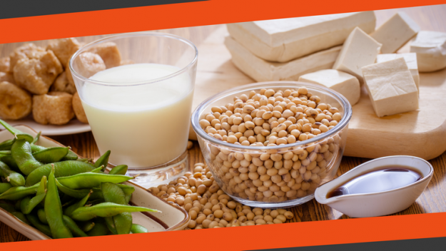 Soy and soy products Soy and soy protein