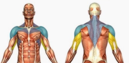 Вежба за рамо - мускули под напор