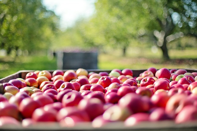 Apples - vitamins and minerals