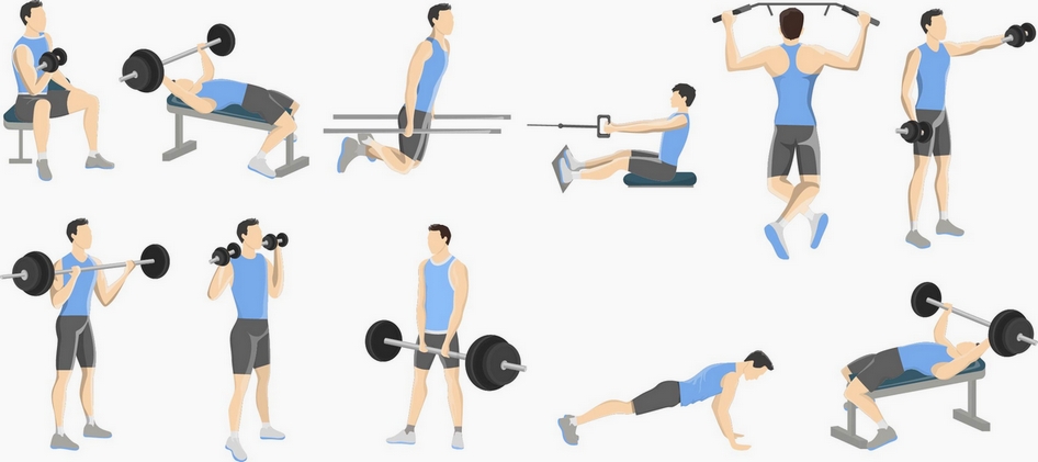 Вежби за сплитови Вежби за сплитови