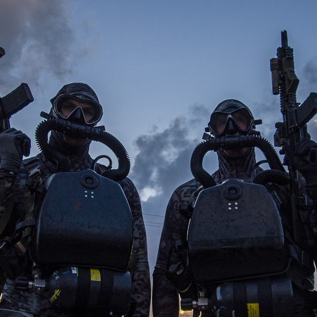 Navy SEALs