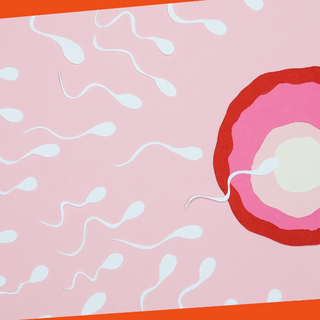 Plodnost i nivo na testosteron